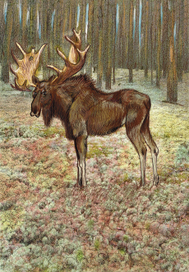 Иллюстрация к детской книге стихов