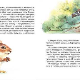 серия времена года:Лето