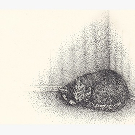 разговаривает во сне