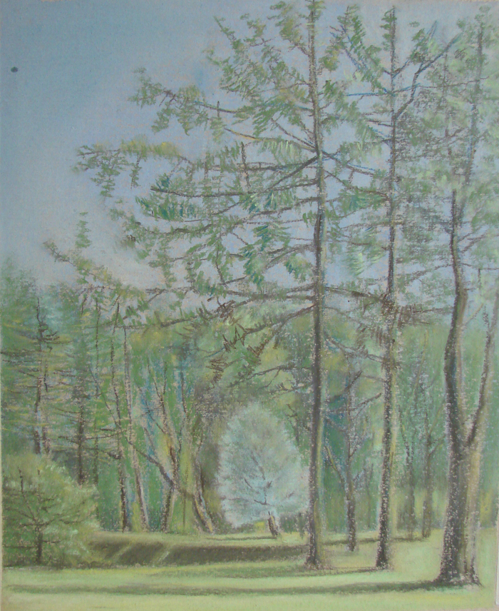 Лето в Питере. Голубое деревце.