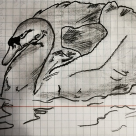 Лебедь