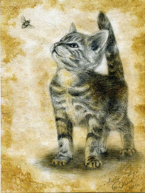 "Мява и Мух"