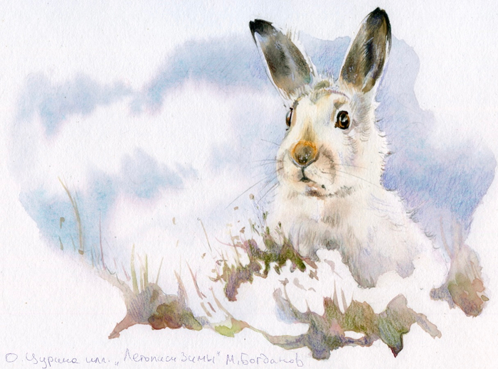 Зайчишка из Летописей зимы