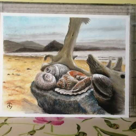 Дары японского моря