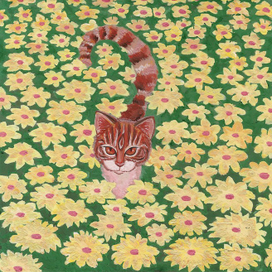 Котик-следопыт