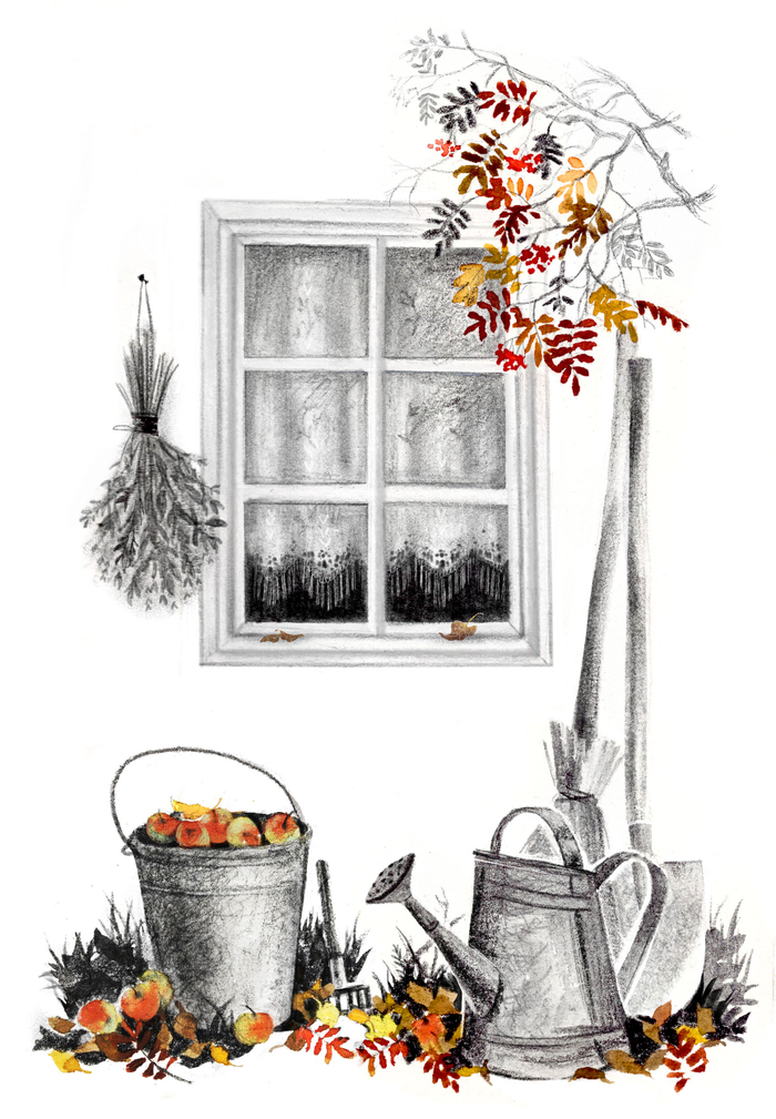 Окно в осень