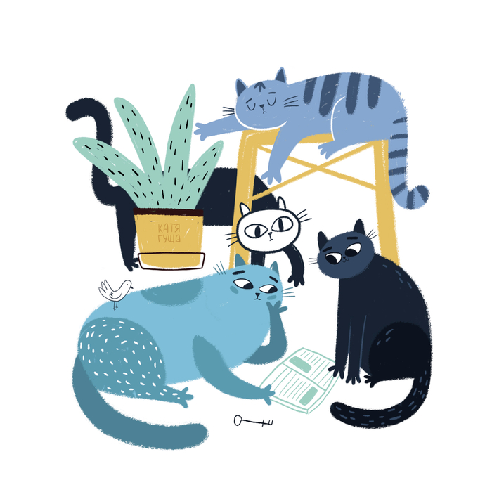 Berrywater fest 2018