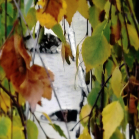 Не смотри ты так ...