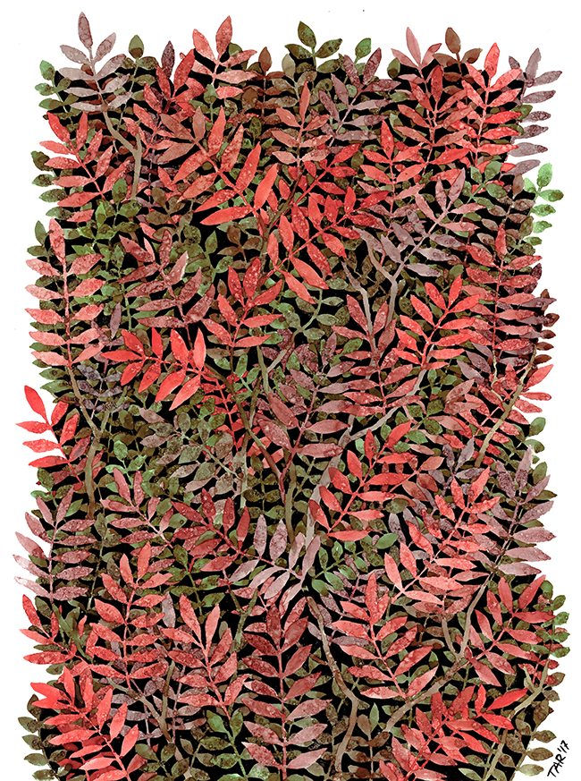 Рябиновая стена