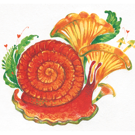 Улиточка с лисичками