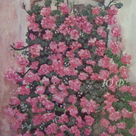 Летние цветы