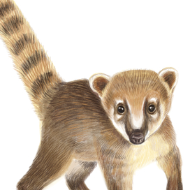 Экзотические животные