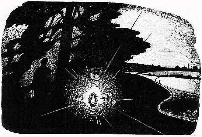 (без названия)