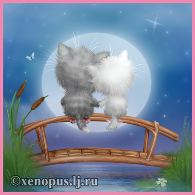 Две котожопки :)