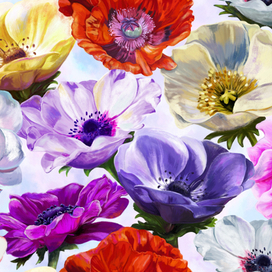 Анемоны, дизайн для обоев