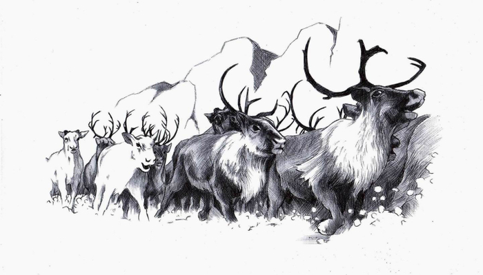 Молниеносный. 2-0