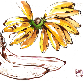 Бананы на ветке