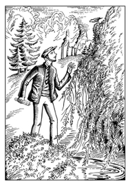 Р. Зотова "Цикута"