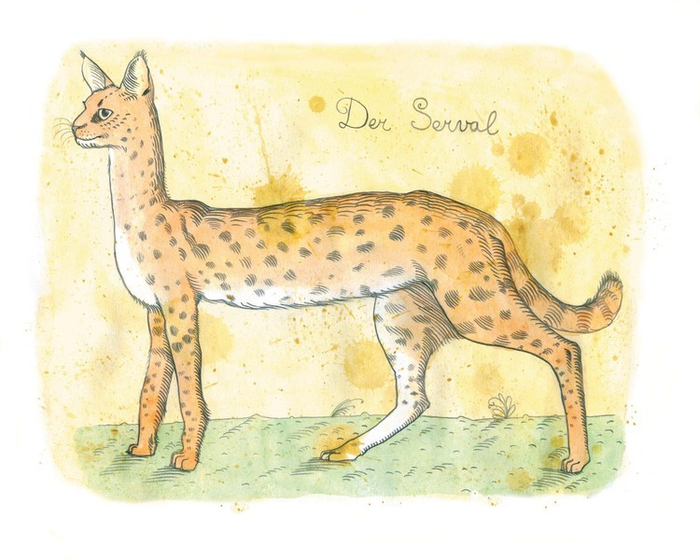Das Serval