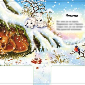 Медведь (зима)