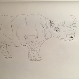 Rhino 