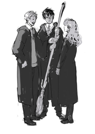 Рон, Гарри и Гермиона.