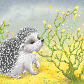 Ежовник безлистный