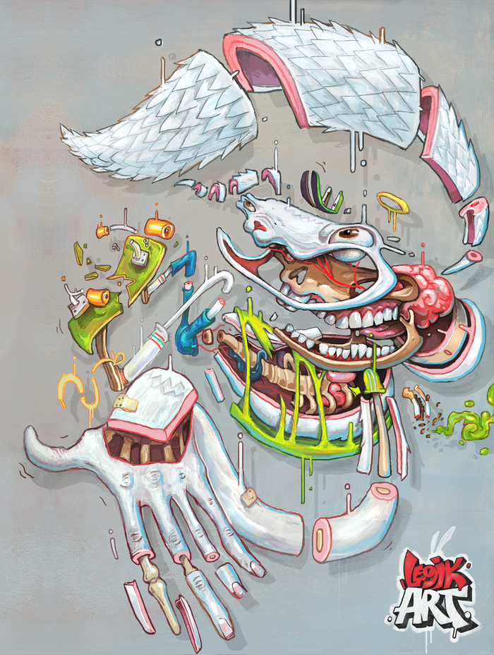 Крол анатомия