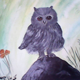 Совиная сказка