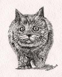 Гуляющий кот