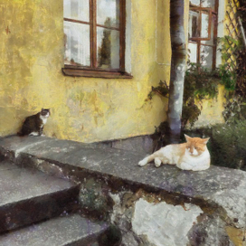 Котики Выборга