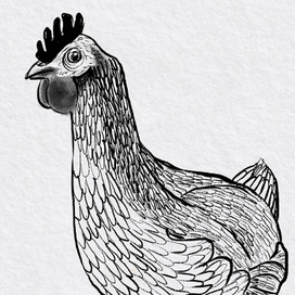 Inktober или почти чб картинки