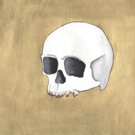 skull