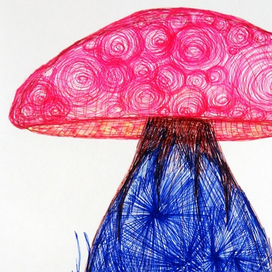 Цветной гриб