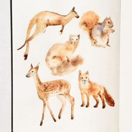 животные в акварели