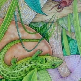 Осторожно,клещ!