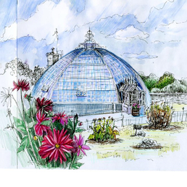 Ботанический сад в Нидерландах