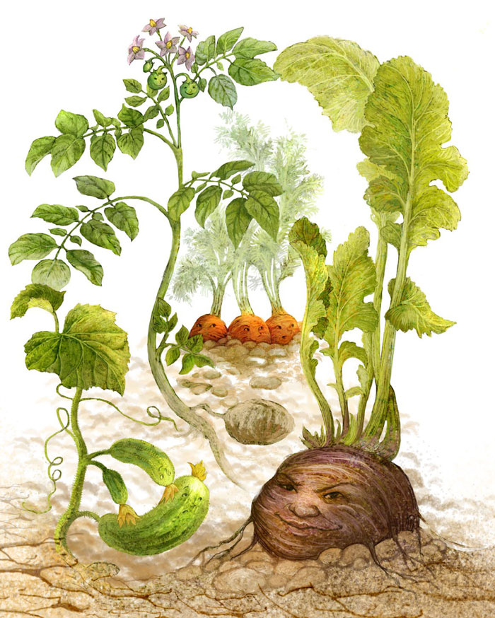 Болтливая редька