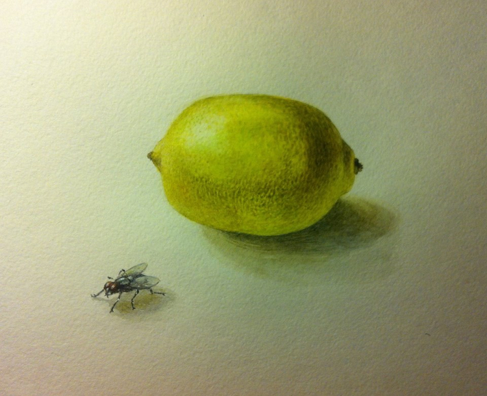 Лимон и муха