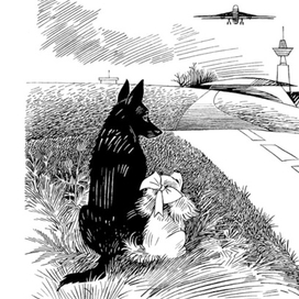 Люк и Бонни