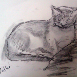 Спящая кошка