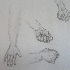 Анатомия кисти