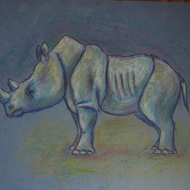 Белый носорог