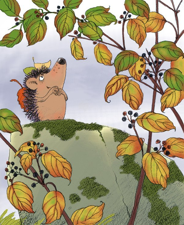 И еще про ежиков и осень