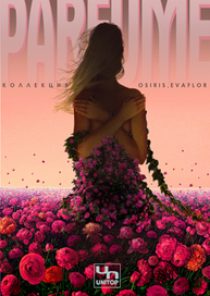 Юнитоп. Обложка буклета