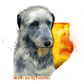 Ирландский волкодав