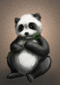 panda.jpg