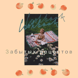 Зин " кулинарная книга забытых рецептов"