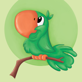 Папугай / Parrot / illustration