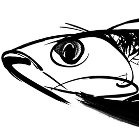 «Щокурный месяц» – сентябрь